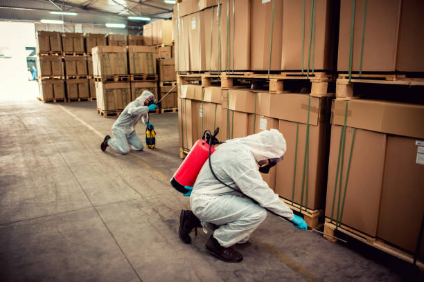 Best Commercial Pest Control Services  in South Apopka, FL