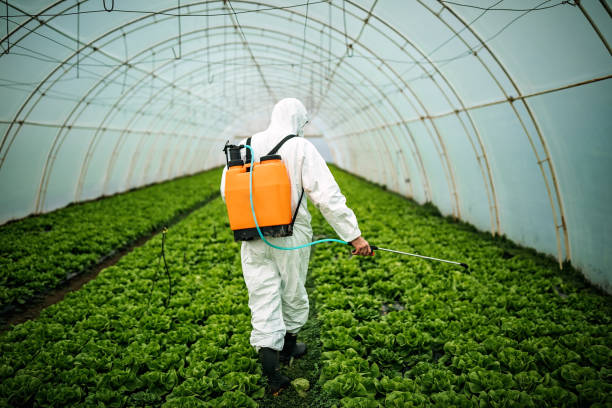 Best Pest Prevention Services  in South Apopka, FL