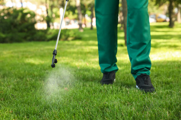 Professional Pest Control in South Apopka, FL