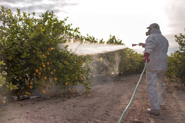 Best Exterminator Services  in South Apopka, FL