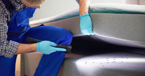 Best Pest Control for Homes  in South Apopka, FL