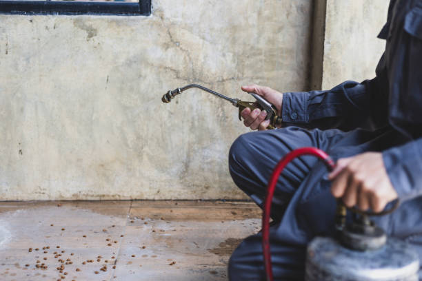 Best Pest Control Treatment  in South Apopka, FL
