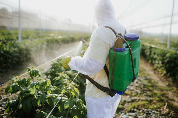 Best Emergency Pest Control  in South Apopka, FL